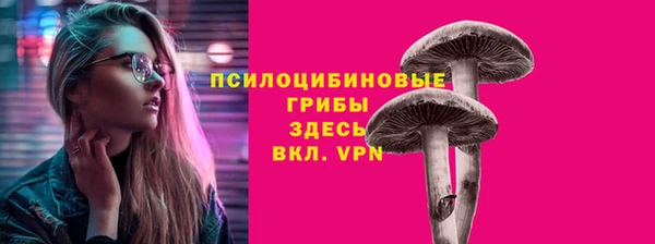 СК Армянск
