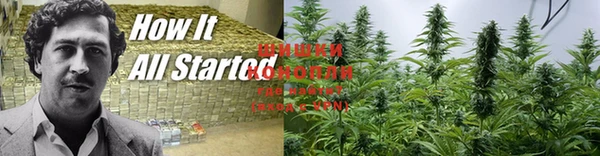 MESCALINE Аркадак