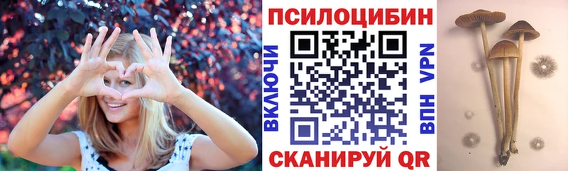наркотики  Талдом  МЕГА маркетплейс  Псилоцибиновые грибы ЛСД 