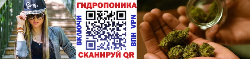 Шишки марихуана конопля  наркотики  Талдом 